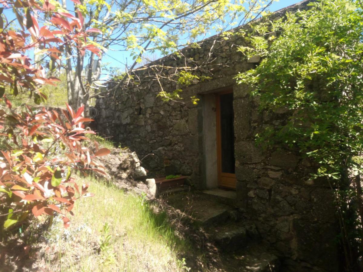 Les Gites Du Mazel Champis Exterior photo