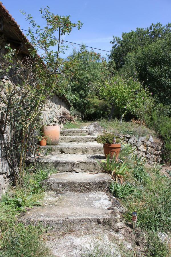Les Gites Du Mazel Champis Exterior photo